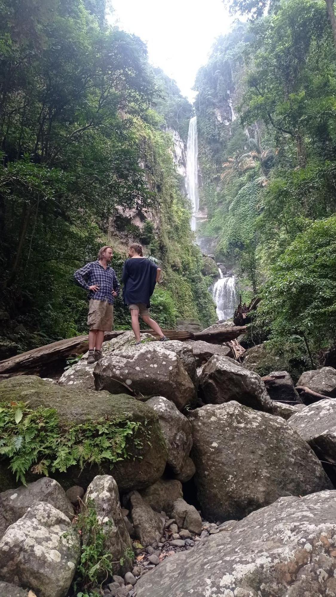 Tiu Batu Homestay Alas Dış mekan fotoğraf