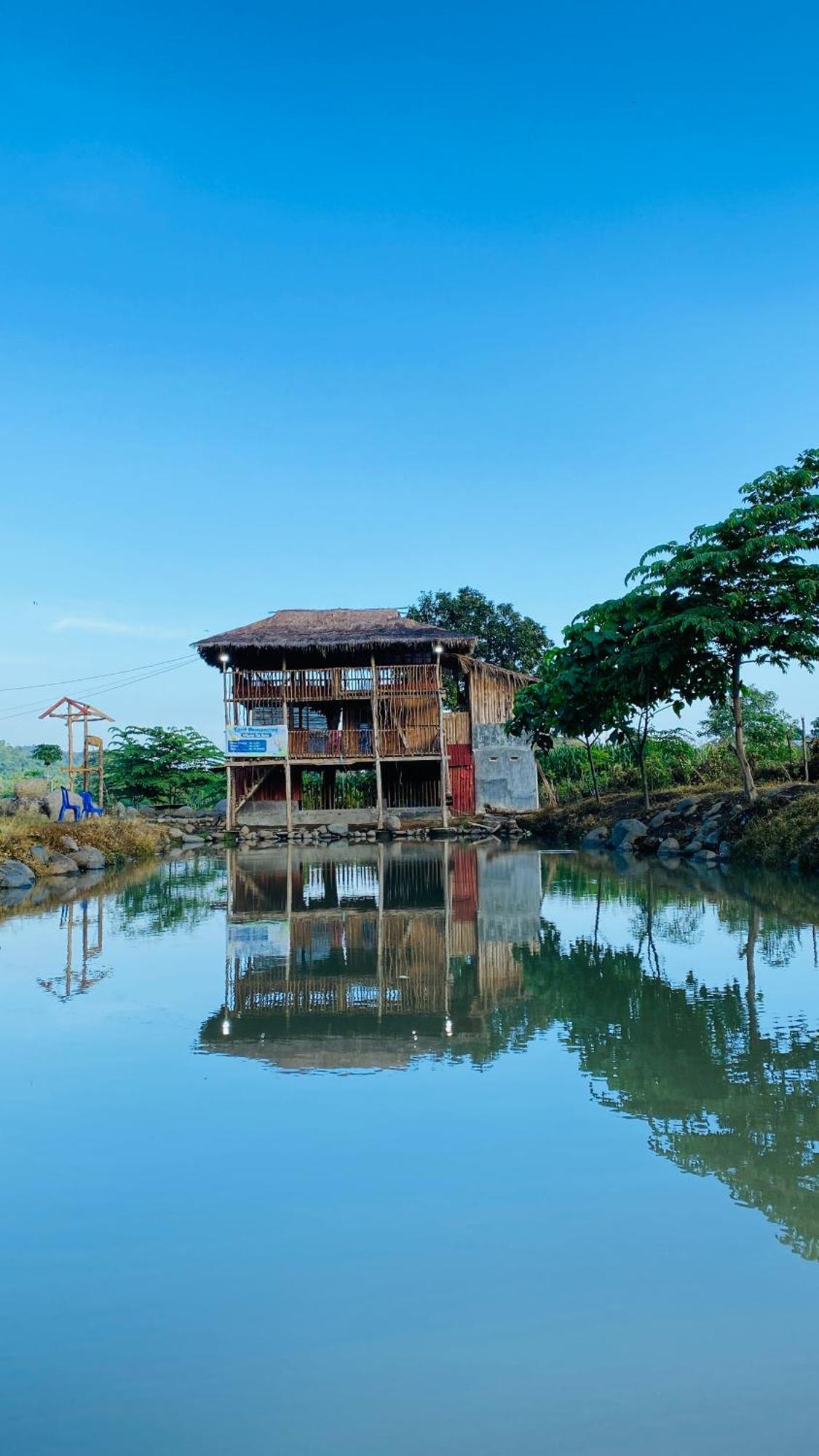 Tiu Batu Homestay Alas Dış mekan fotoğraf
