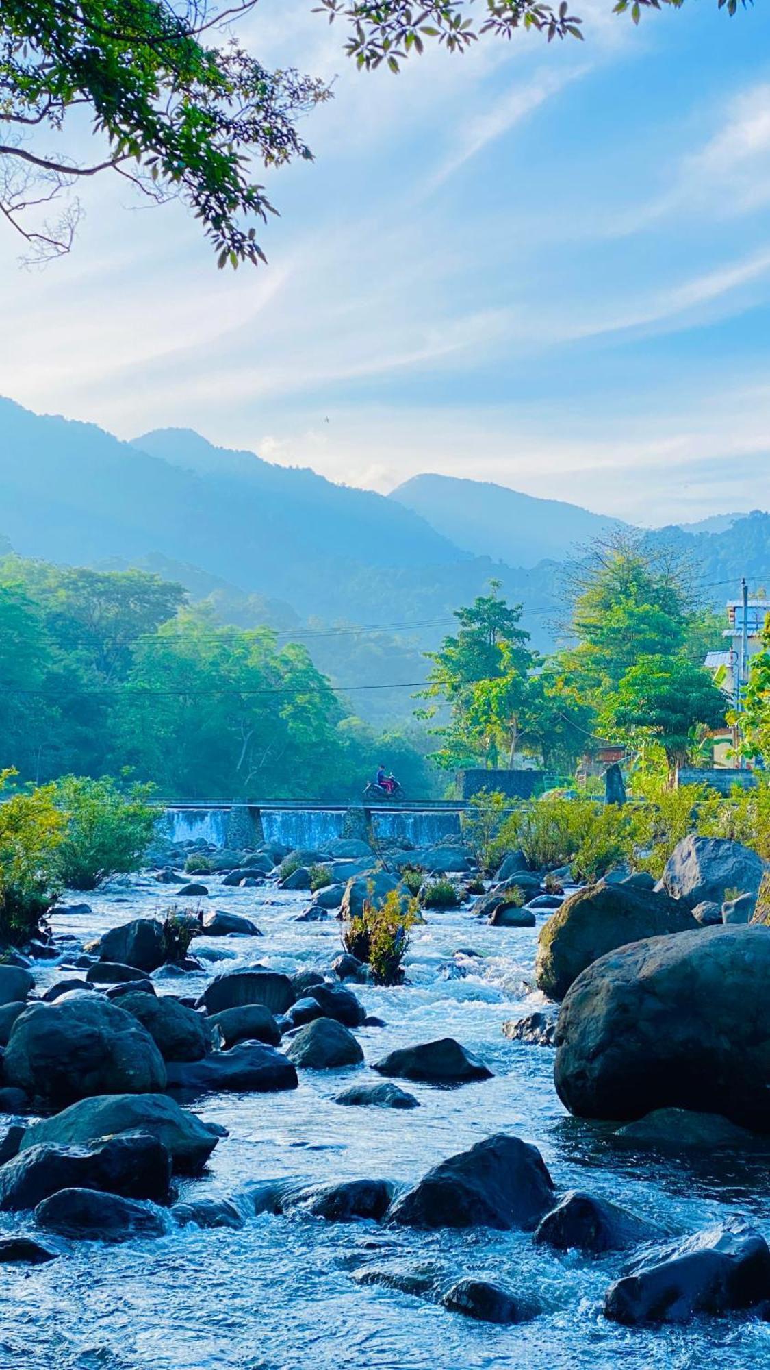 Tiu Batu Homestay Alas Dış mekan fotoğraf