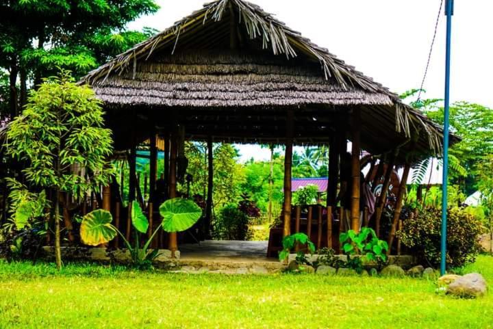Tiu Batu Homestay Alas Dış mekan fotoğraf