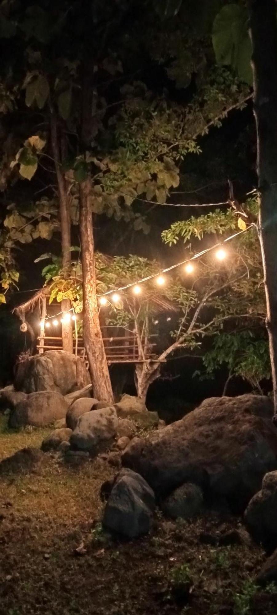 Tiu Batu Homestay Alas Dış mekan fotoğraf